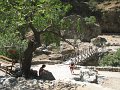 IMG_2186 - Copy